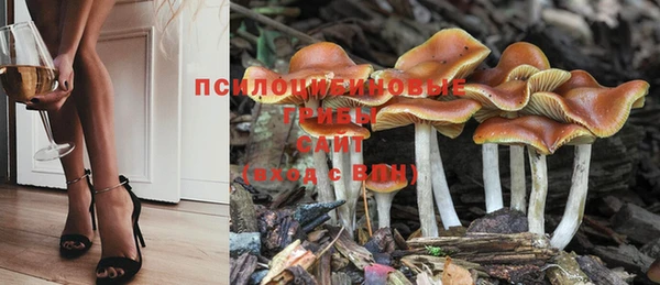 мяу мяу мука Алексеевка