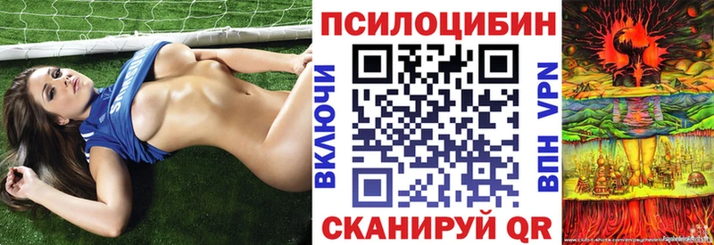 Галлюциногенные грибы мицелий купить Тверь